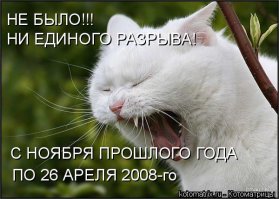 Звонок бешеной женщины в М Видео