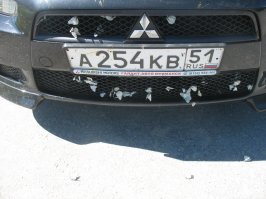 Вот последствия этой метели