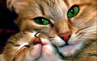  17 крутых фотографий, которые способны вас удивить