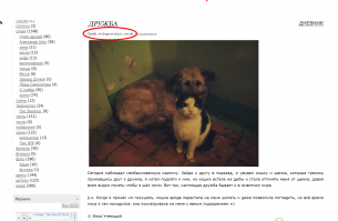 Дежавю какое-то... Надеюсь хотя бы история правдивая.
Ссылка на источник: