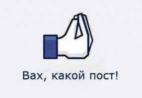  В Индонезии живет черный петух, у которого даже мясо черное
