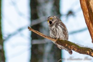  17 крутых фотографий, которые способны вас удивить