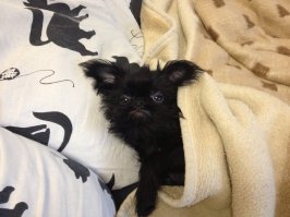 о да, это знакомо...