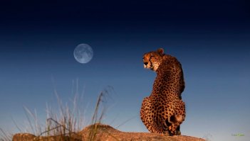  17 крутых фотографий, которые способны вас удивить
