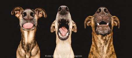  17 крутых фотографий, которые способны вас удивить