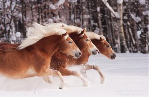  17 крутых фотографий, которые способны вас удивить