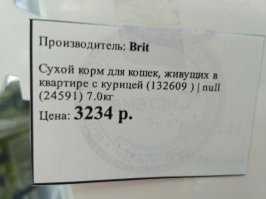 Котик и сфоткал курицу, которая живет с ним в одной квартире!