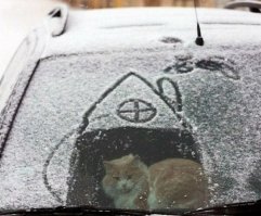  16 фотографий, которые заставят вас сказать "снег, ты пьян, иди домой!"