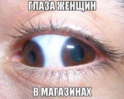  Красивая мутация: 16 фотографий гетерохромии