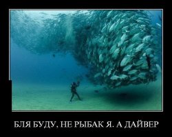 Десятки тысяч рыб образуют живые торнадо для защиты от хищников