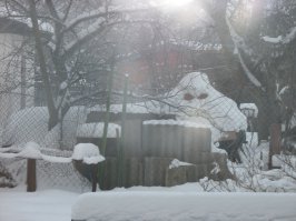 Снег следит за тобой.