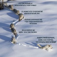  Не хочешь получать идиотские советы - не делись с идиотами своими проблемами