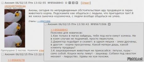  Тюремная романтика
