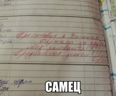 Учительские перлы из школьных дневников