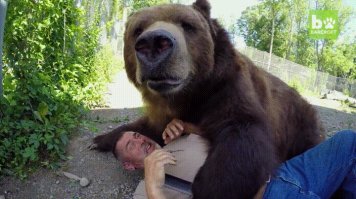 Такому вафлику ни зубы ни когти и даже конечности не нужны,может зализать до смерти)))