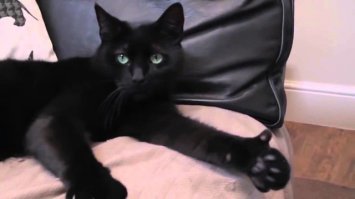  Как изменились участники "Фабрики Звезд"