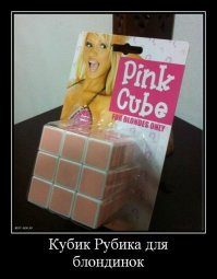  20 фотографий, раскрывающих все безумие нашего мира