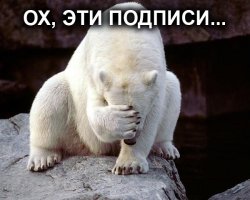  Самые смешные отпускные фотобомбы всех времен