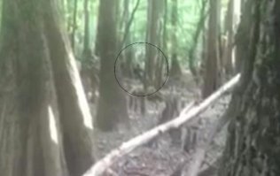 > Говорят, это фото было сделано в Южной Каролине. На нем - человек-ящерица...

C таким-же успехом можно сказать, что это фото сделано в посадке за окраиной мухосранска и что на данном фото - жопа с ушами.