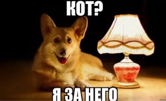  Короткие истории из серии - "это придумать нельзя"