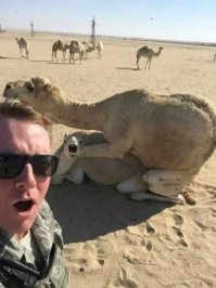  Самые смешные отпускные фотобомбы всех времен