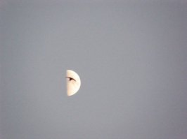 Это очень часто случается ,но очень редко кто подмечает ,а потом фотает,я регулярно делал около 3000 фото в месяц и там всегда оказывался подобный щедевр ) этот - один из многих тоже случайно, стрижи гнездятся каждый год ,но только однажды он пролетал на фоне луны,получилось что она подсматривает одним глазом ),в основном все кадры зафиксировали кратковременное ,удачно сложившееся движение и через пару секунд эта композиция  исчезает (