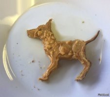  12 примеров, когда случайное творчество превзошло произведения искусства