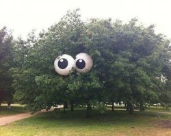 Фотографии, которые стоит увидеть всем