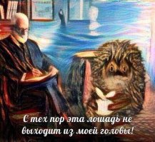  20 фотографий, раскрывающих все безумие нашего мира