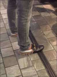 Фотоподборка за 06.02.2017