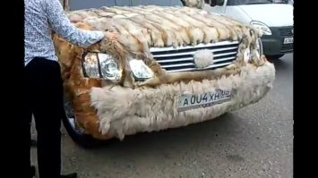 Фотоподборка за 06.02.2017