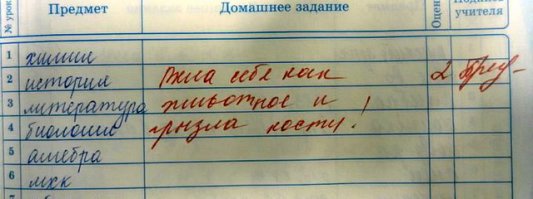  22 по-настоящему странных послания из школьных дневников