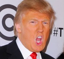  Кролики выглядят непредсказуемо ужасно, когда зевают