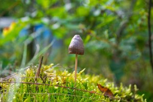 Олежка, 29 годиков )