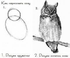 Из серии