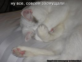  Как скучно я живу! Безумные, но реальные заголовки российских новостей на тему оружия