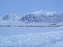 Чукотка однако...
