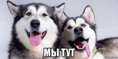  Как спасли подростка от секс-рабства