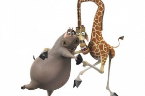 Коллекция эмоциональных снимков