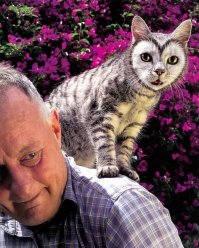 Напомнило :)