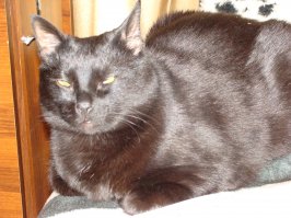 У нас, конечно, ничего из ряда вон. Просто для нас он самый красивый и любимый!