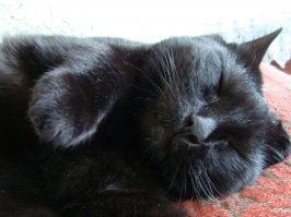 У нас, конечно, ничего из ряда вон. Просто для нас он самый красивый и любимый!