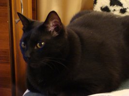 У нас, конечно, ничего из ряда вон. Просто для нас он самый красивый и любимый!