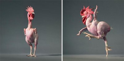 Есть такая порода.