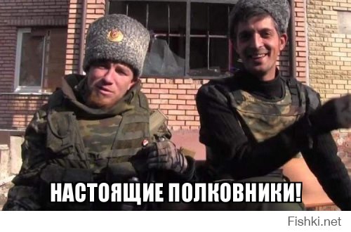К вопросу о картинке на следующую солянку.......

*