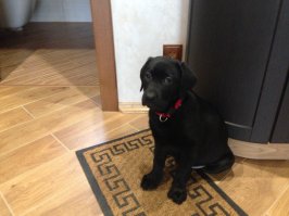 Моя Сонечка в детстве. Чё-то взгрустнулось.