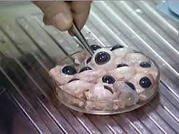 Романтика ^^