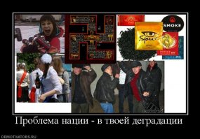 Евгеника подтверждена огромным количеством примеров в животном мире, но кто-то особенно умный и человечный решил, что к людям она не применима и даже оскорбительна. Но только евгеника спасет любую нацию от вырождения.