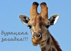 Это для них...