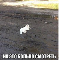  23 фотографии, которые заставят вас сказать "за что?"